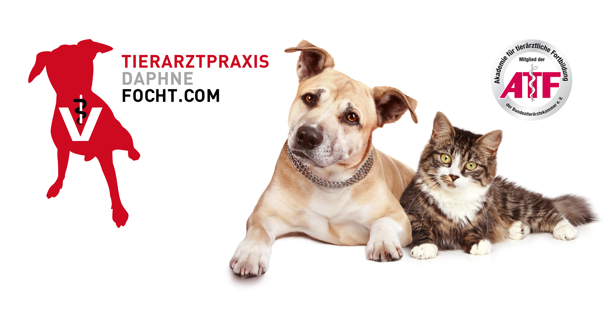 Hund und Katze