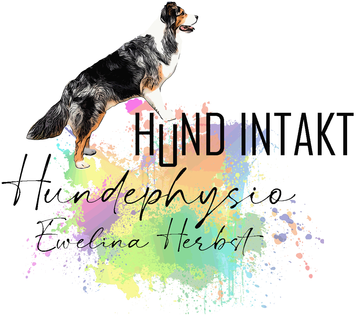 Logo Hund in Takt